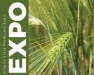 Emerging Markets - Malting Barley: Technical Updates, Economics and Opportunities Session