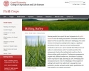 Cornell Malting Barley Resources -- Breeding Program, Variety Trials, Research