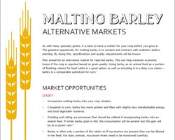 Malting Barley Alternative Markets