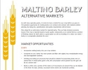 Malting Barley Alternative Markets