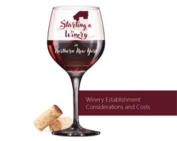 Starting a Winery in Northern New York: Considerations and Costs