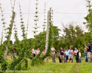 Field to Pint Craft Brewery Tour - Western NY