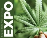 Emerging Markets - Hemp