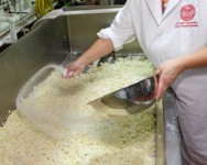 The Science of Cheese Making (Basic Level) and Vat Pasteurization Workshop