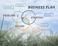 Writing Your Business & Marketing Plan