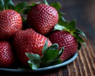 In-Depth Strawberry Substrate Workshop