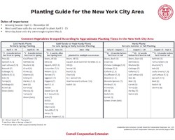 Cold Storage Chart and Reference Guide to Commercial Vegetable Storage -  Cornell Vegetable Program - Cornell University - Cornell Cooperative  Extension