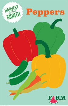Harvest of the Month Marketing Materials - Peppers