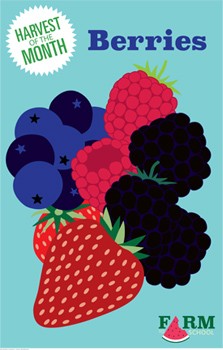 Harvest of the Month Marketing Materials - Berries