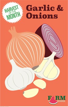 Harvest of the Month Marketing Materials - Garlic & Onions