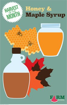 Harvest of the Month Marketing Materials - Honey & Maple Syrup