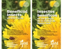 Beneficial Insects on NYC Farms Pocket Guide