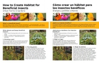How to Create Habitat for Beneficial Insects