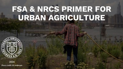 USDA Initiatives Available to Urban Growers in New York