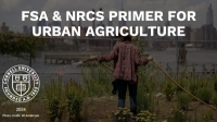 USDA Initiatives Available to Urban Growers in New York