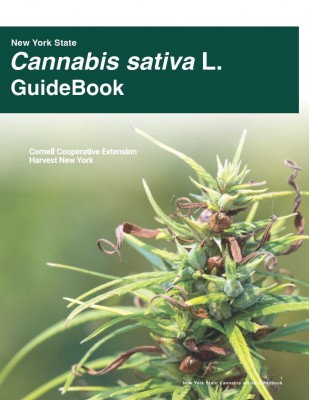 NYS Cannabis sativa L. Guidebook