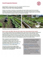Urban Farm Soil Test Interpretation