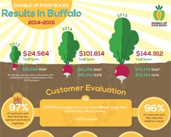 Double Up Food Bucks Western NY Report, 2014-2015