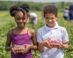 Buffalo Farm-to-School Project