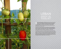 USDA's Urban Agriculture Toolkit