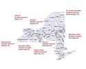 NYS Produce Auctions Locations and Contact Information