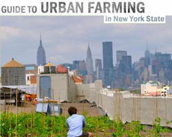 Guide to Urban Farming in New York State