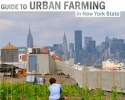 Guide to Urban Farming in New York State