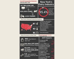 New York Dairy Industry Infographic