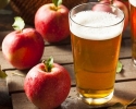 Hard Cider Supply Chain Analysis