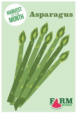 Harvest of the Month Marketing Materials - Asparagus