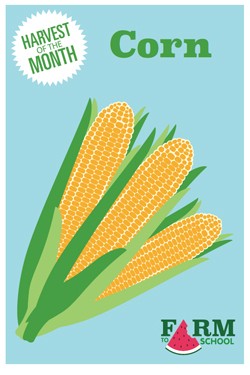 Harvest of the Month Marketing Materials - Corn