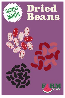 Harvest of the Month Marketing Materials - Dried Beans