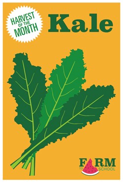 Harvest of the Month Marketing Materials - Kale