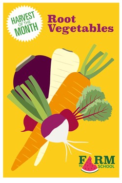 Harvest of the Month Marketing Materials - Root Vegetables