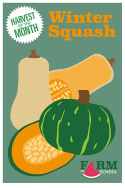 Harvest of the Month Marketing Materials - Winter Squash