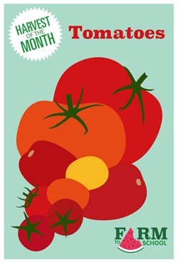 Harvest of the Month Marketing Materials - Tomatoes